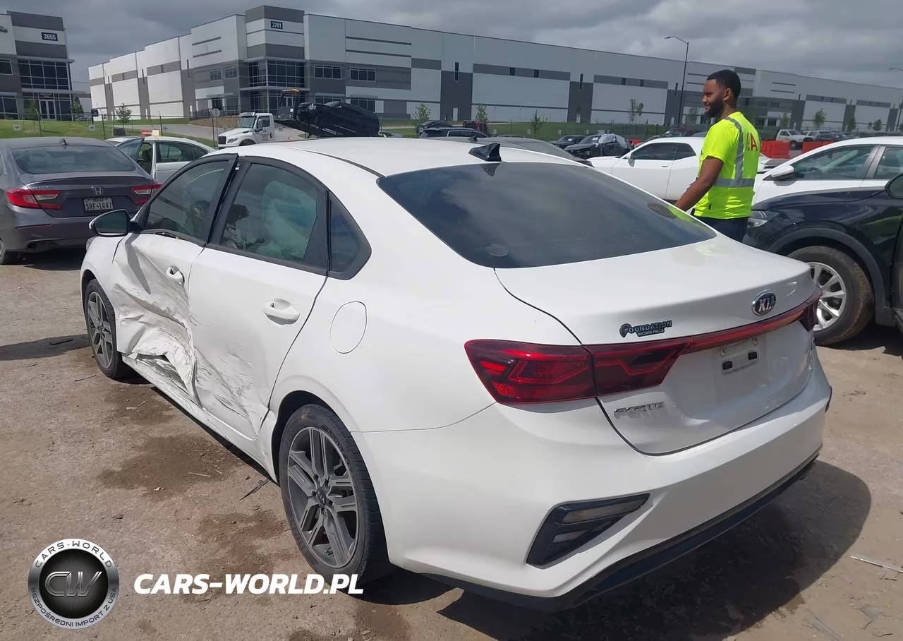 2019 Kia Forte S VIN:3KPF34AD3KE013569 - 3