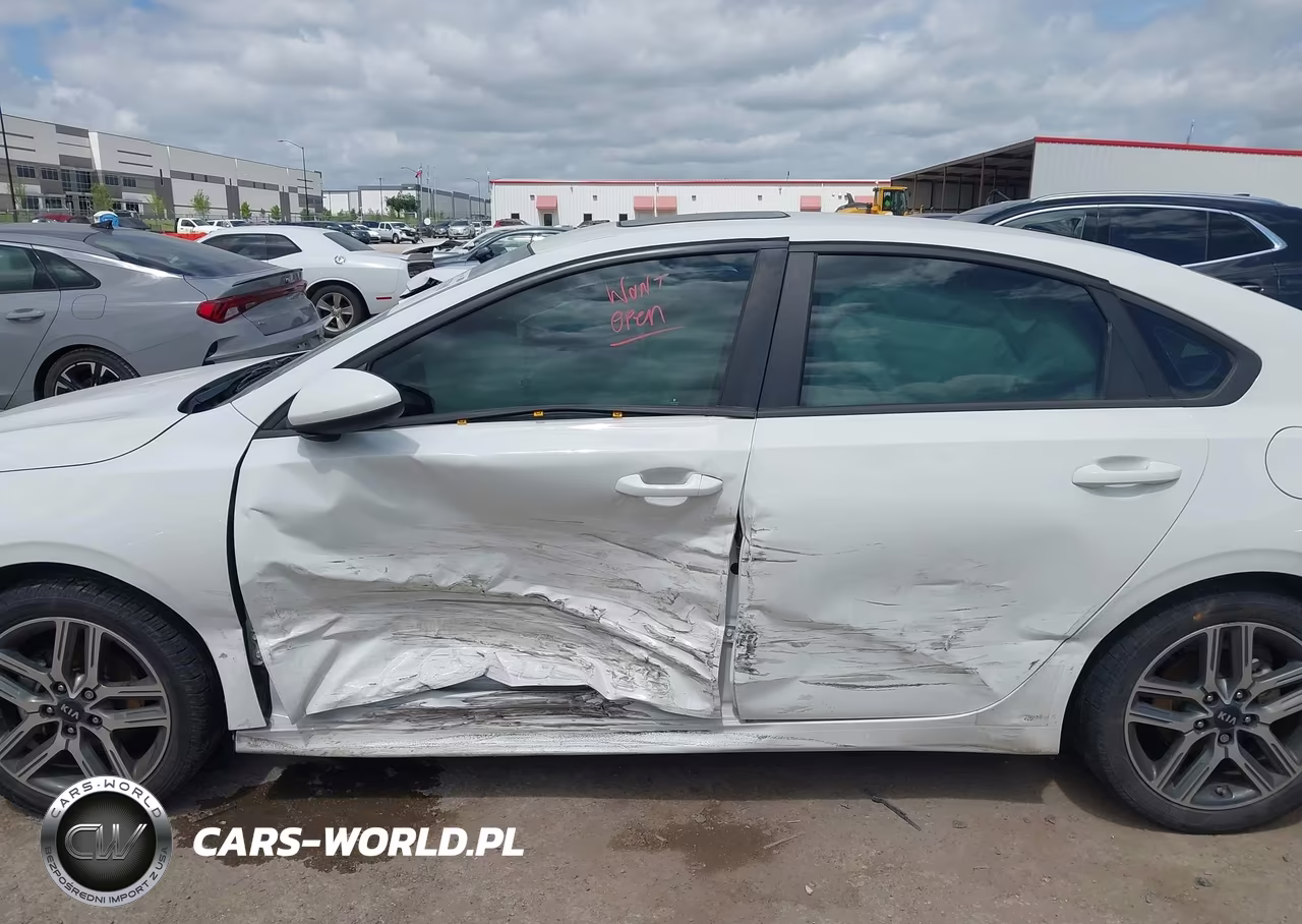 2019 Kia Forte S VIN:3KPF34AD3KE013569 - 6
