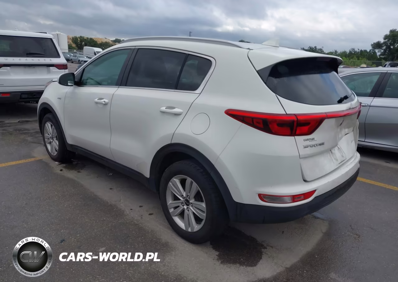 2019 Kia Sportage Lx VIN:KNDPMCAC7K7605477 - 3