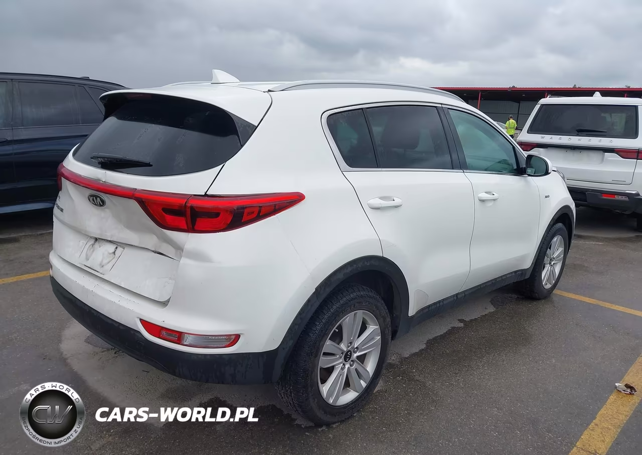 2019 Kia Sportage Lx VIN:KNDPMCAC7K7605477 - 4