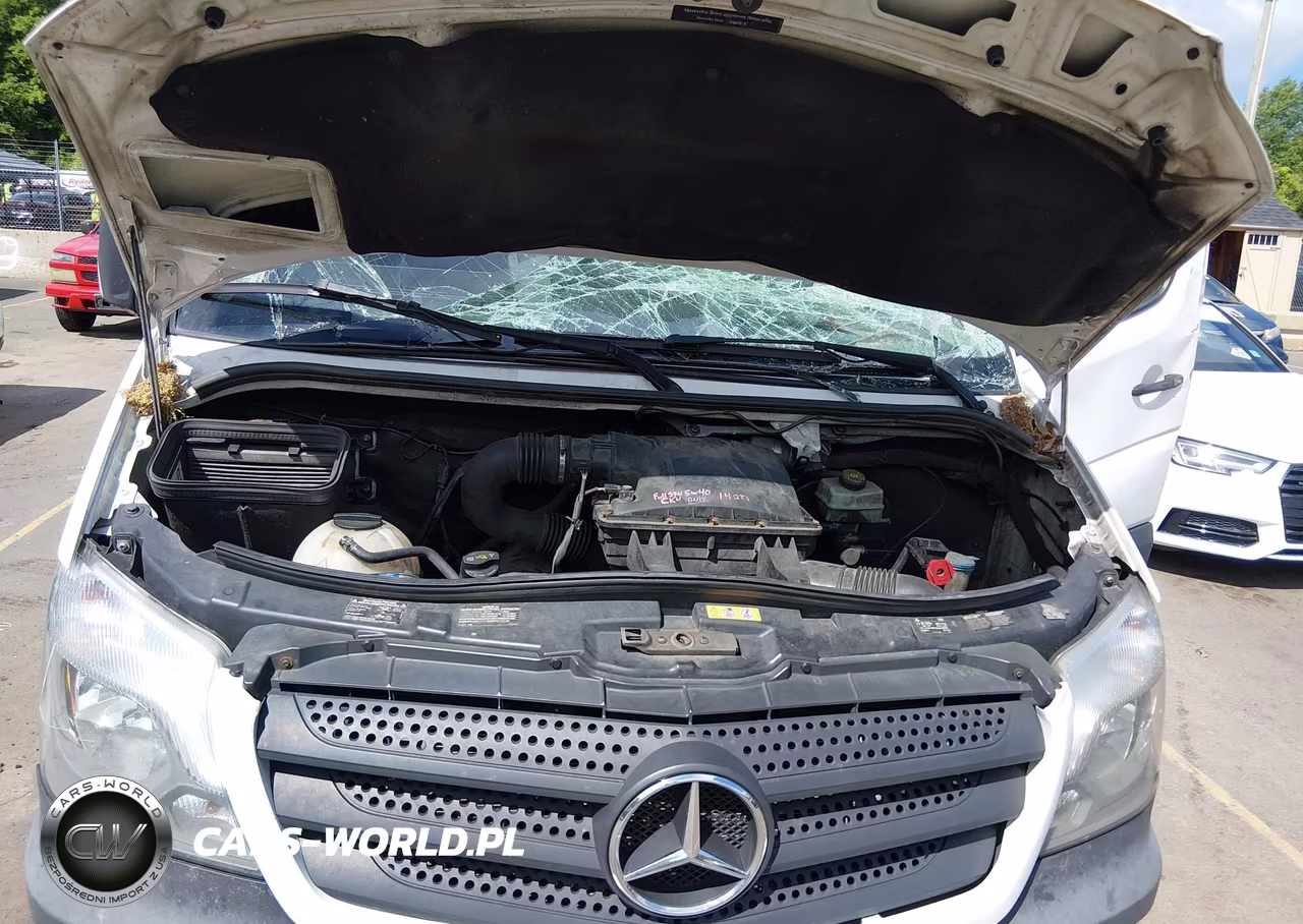 2017 Mercedes-Benz Sprinter 2500 High Roof V6 VIN:WD3PE8CD7HP529651 - 10