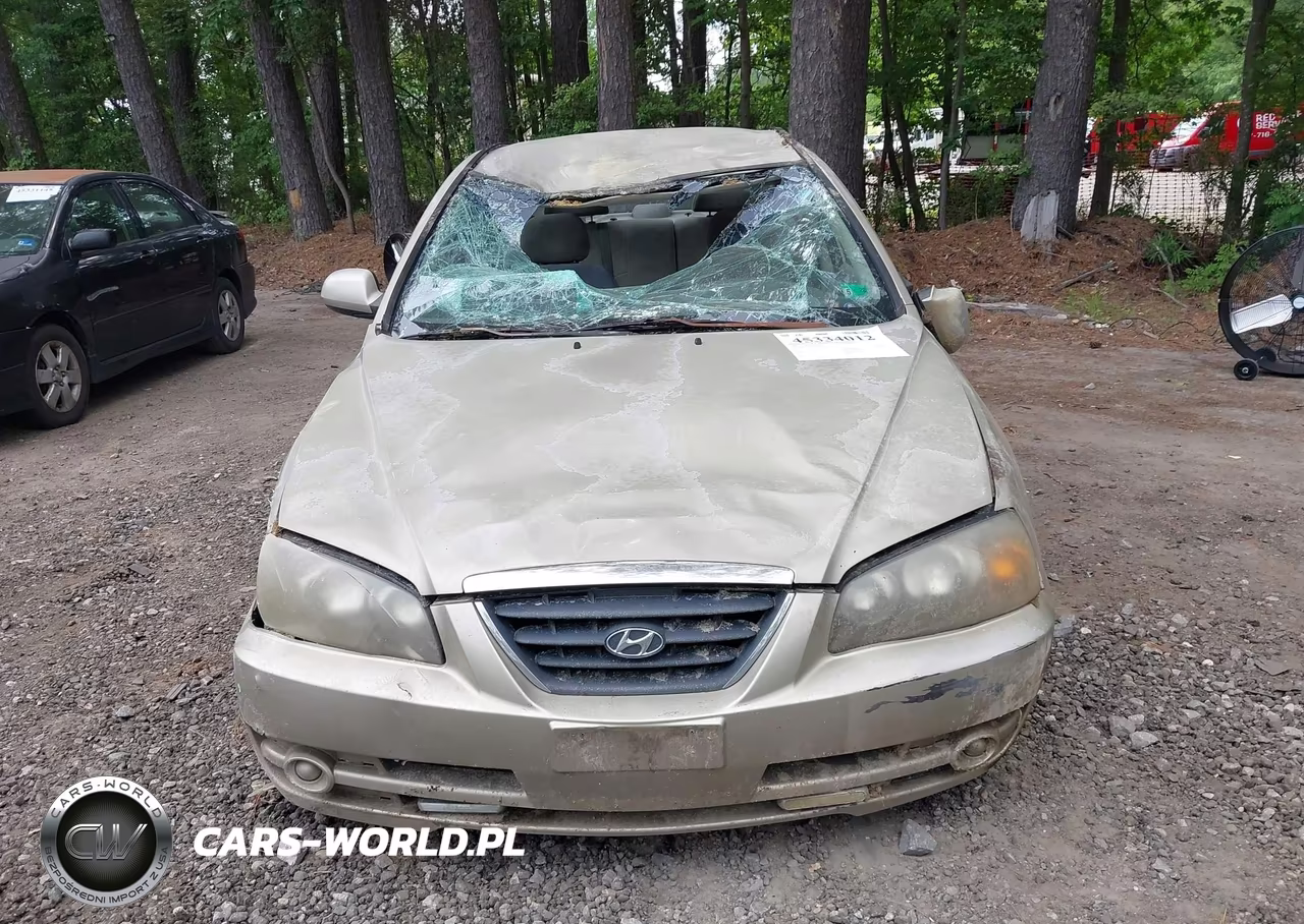 2005 Hyundai Elantra Gls-Gt VIN:KMHDN46D65U063880 - 12