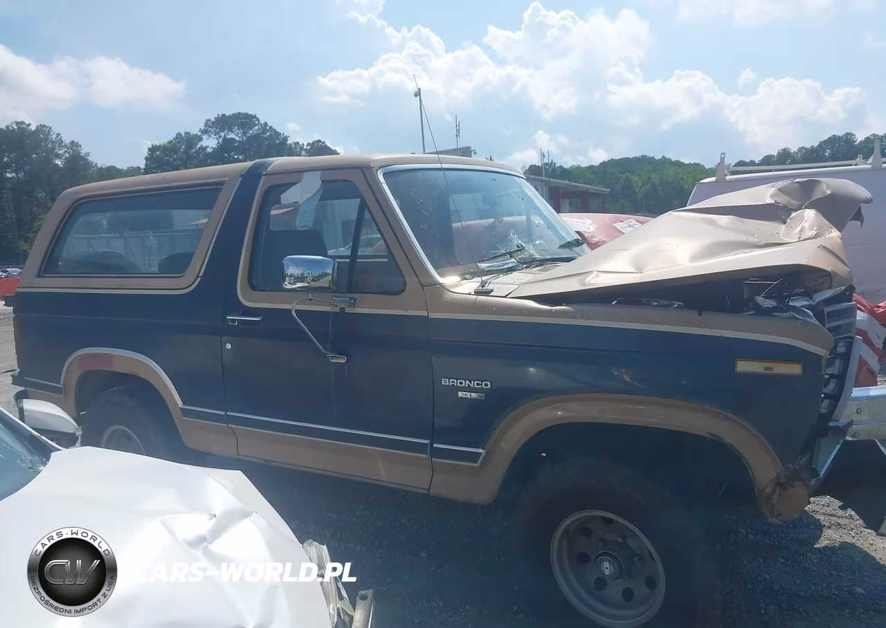 1984 Ford Bronco U100 VIN:1FMEU15H9ELA82780 - 13