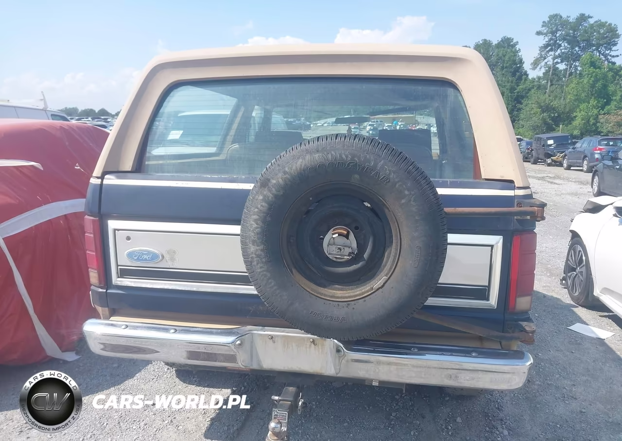 1984 Ford Bronco U100 VIN:1FMEU15H9ELA82780 - 16