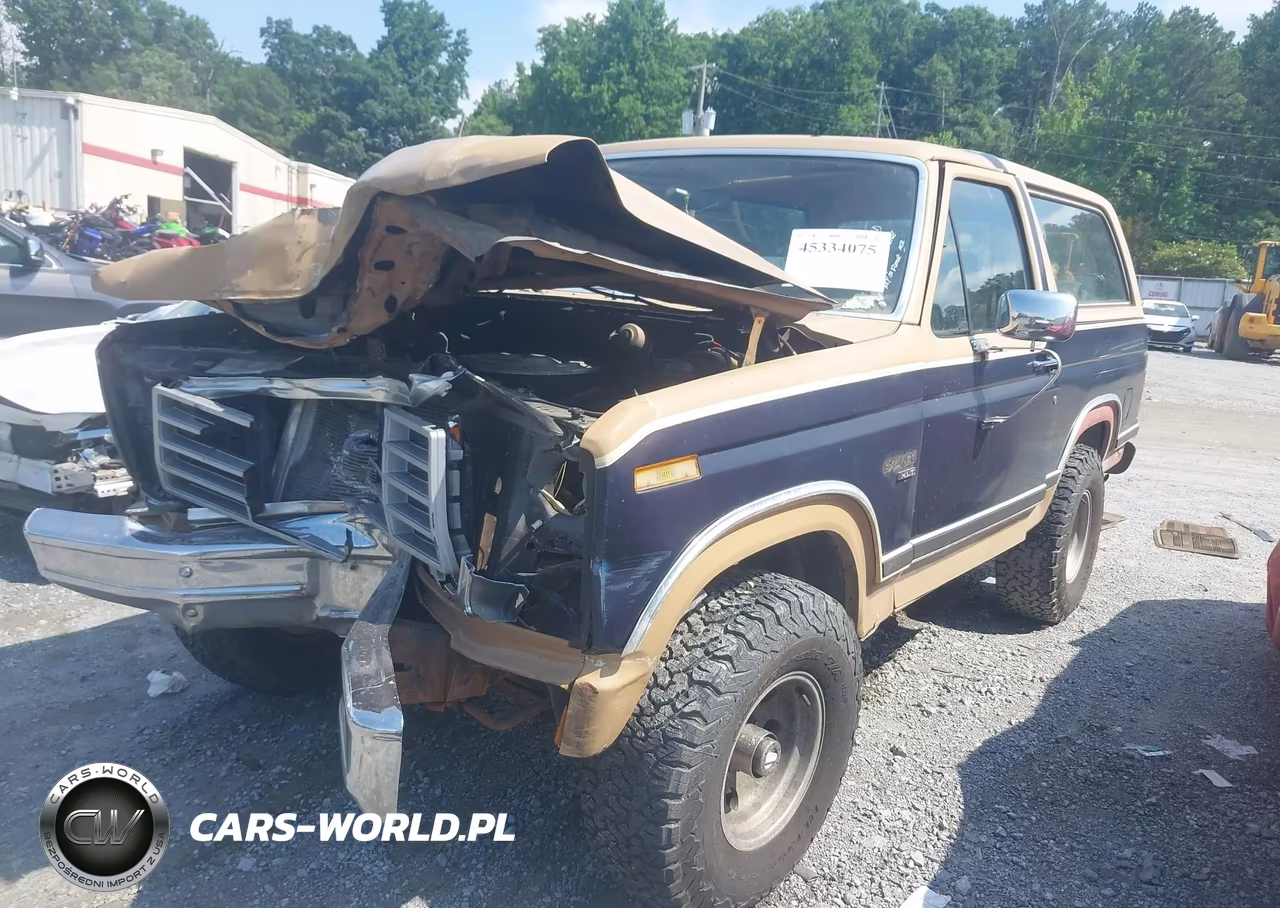 1984 Ford Bronco U100 VIN:1FMEU15H9ELA82780 - 2