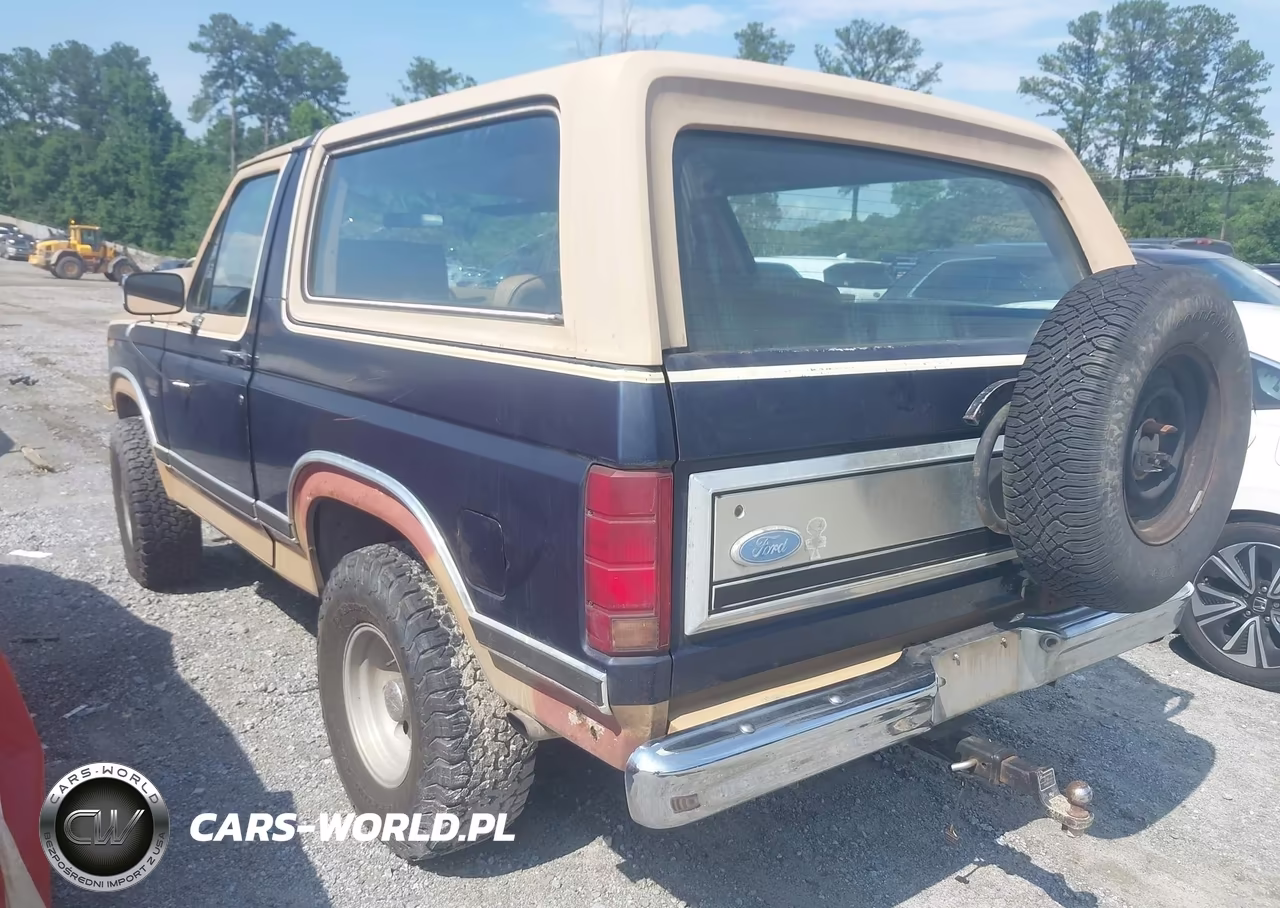 1984 Ford Bronco U100 VIN:1FMEU15H9ELA82780 - 3