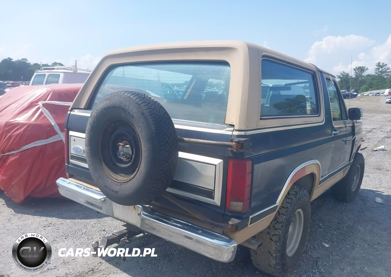 1984 Ford Bronco U100 VIN:1FMEU15H9ELA82780 - 4