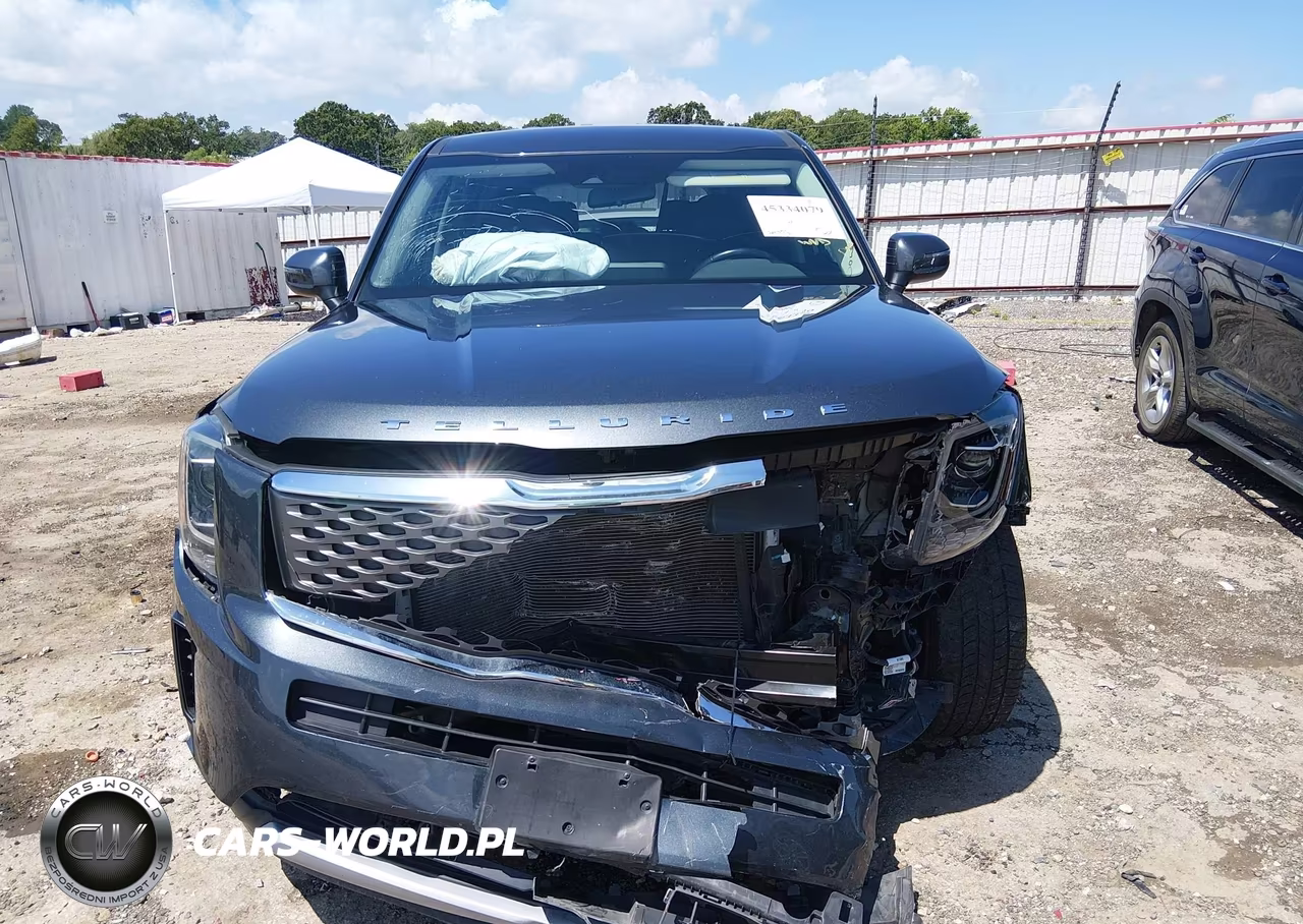 2021 Kia Telluride Lx VIN:5XYP2DHC1MG148527 - 13