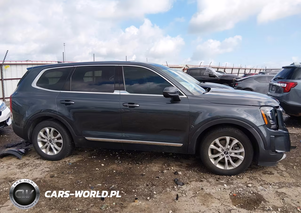 2021 Kia Telluride Lx VIN:5XYP2DHC1MG148527 - 14