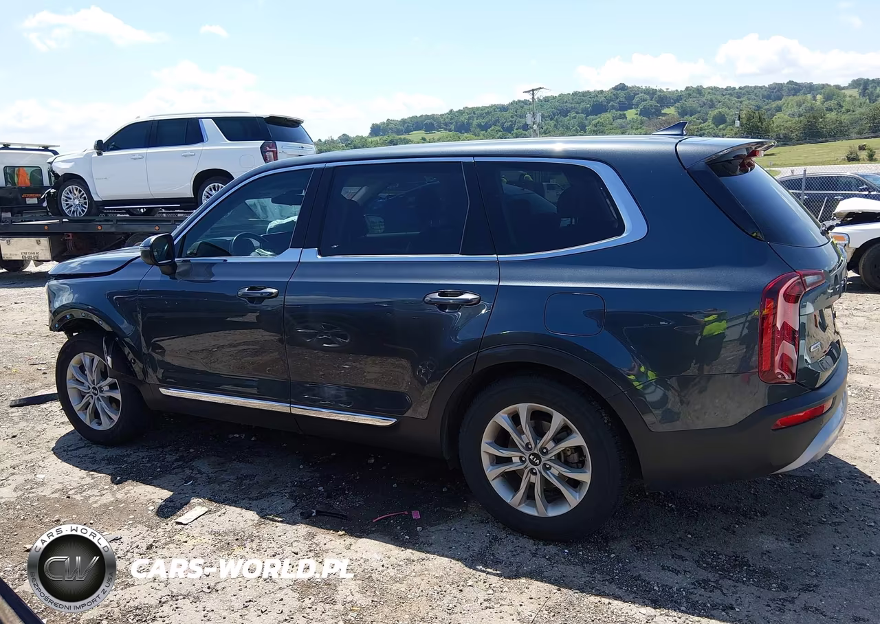 2021 Kia Telluride Lx VIN:5XYP2DHC1MG148527 - 15