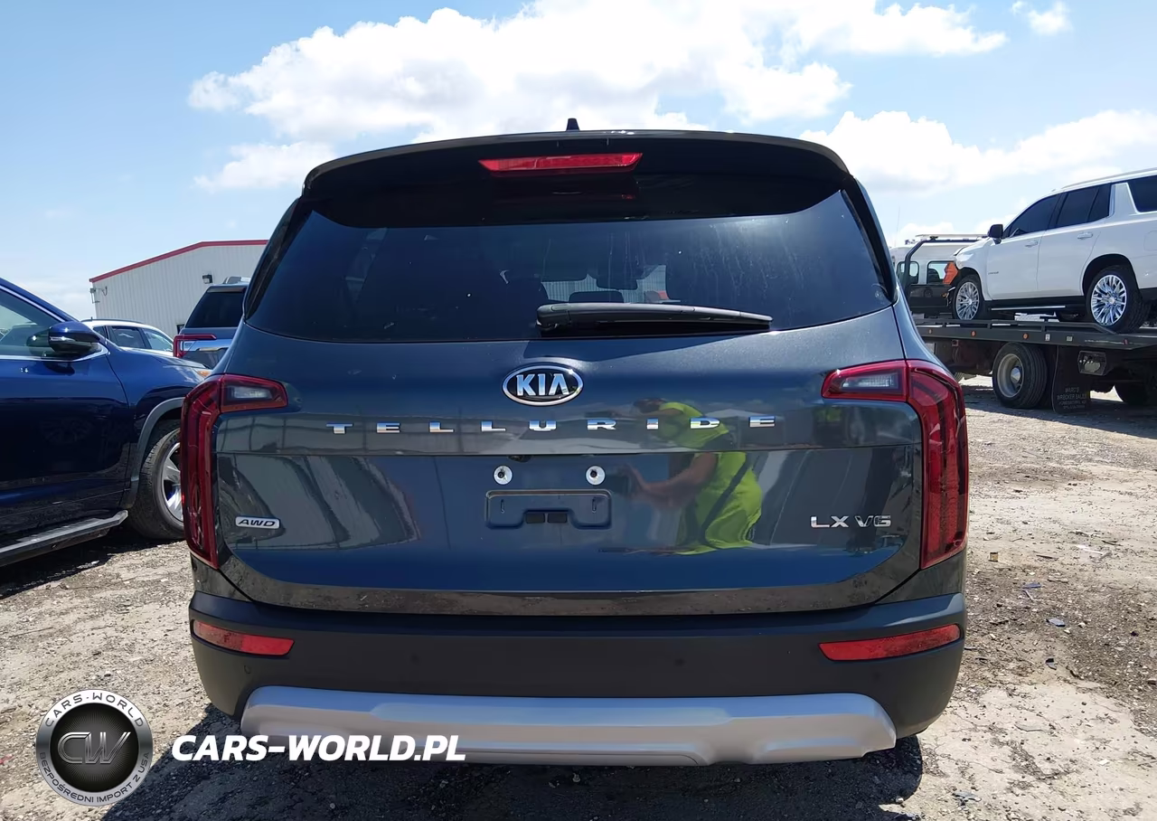 2021 Kia Telluride Lx VIN:5XYP2DHC1MG148527 - 17