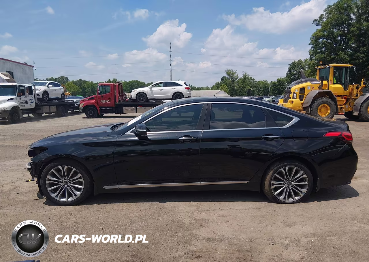 2017 Genesis G80 3.8 VIN:KMHGN4JE5HU210255 - 14
