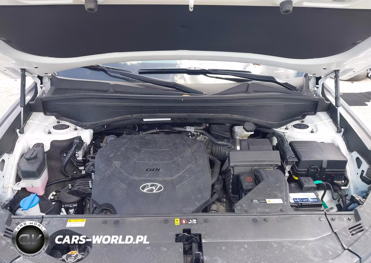 2023 Hyundai Palisade Limited VIN:KM8R54GE3PU511234 - 10