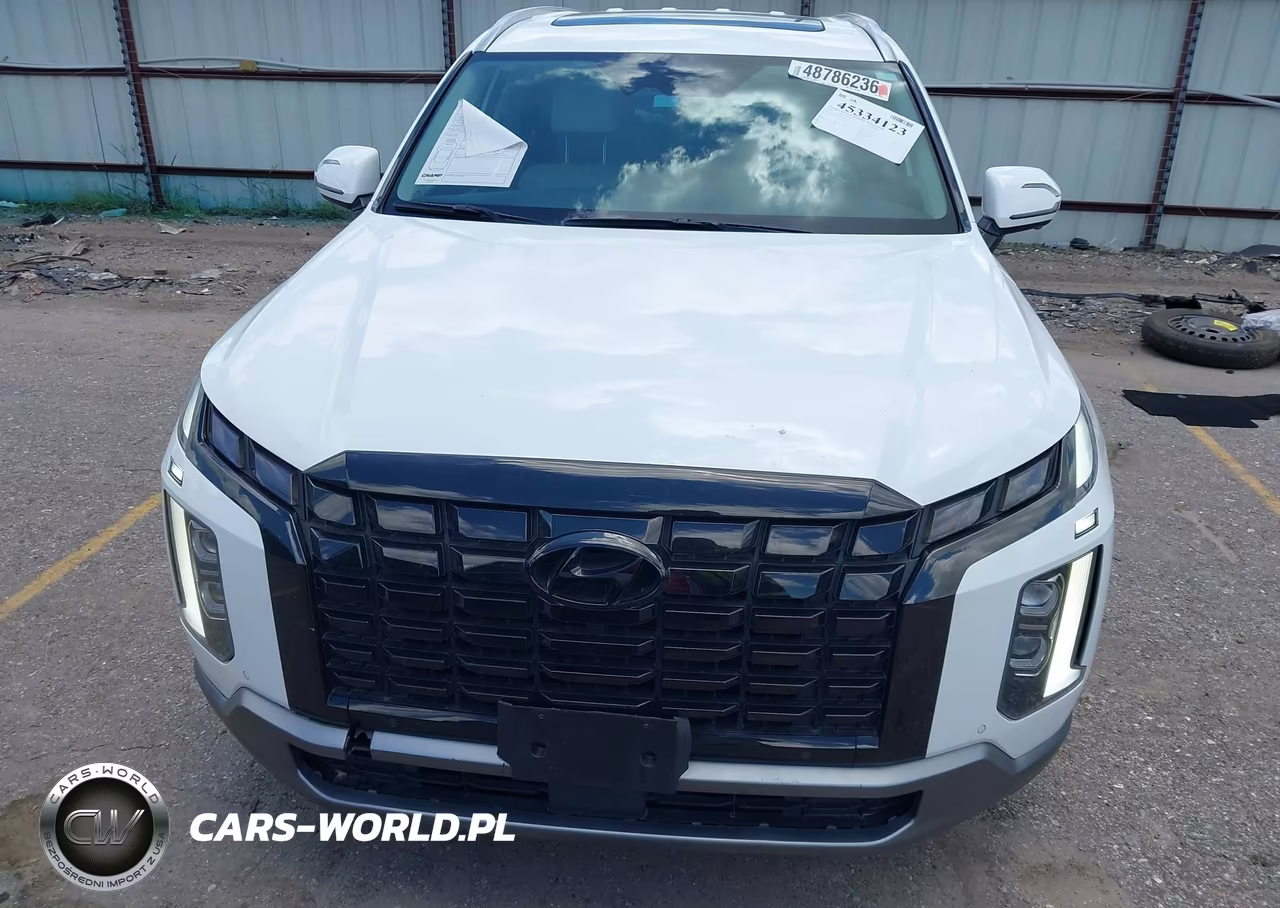 2023 Hyundai Palisade Limited VIN:KM8R54GE3PU511234 - 13