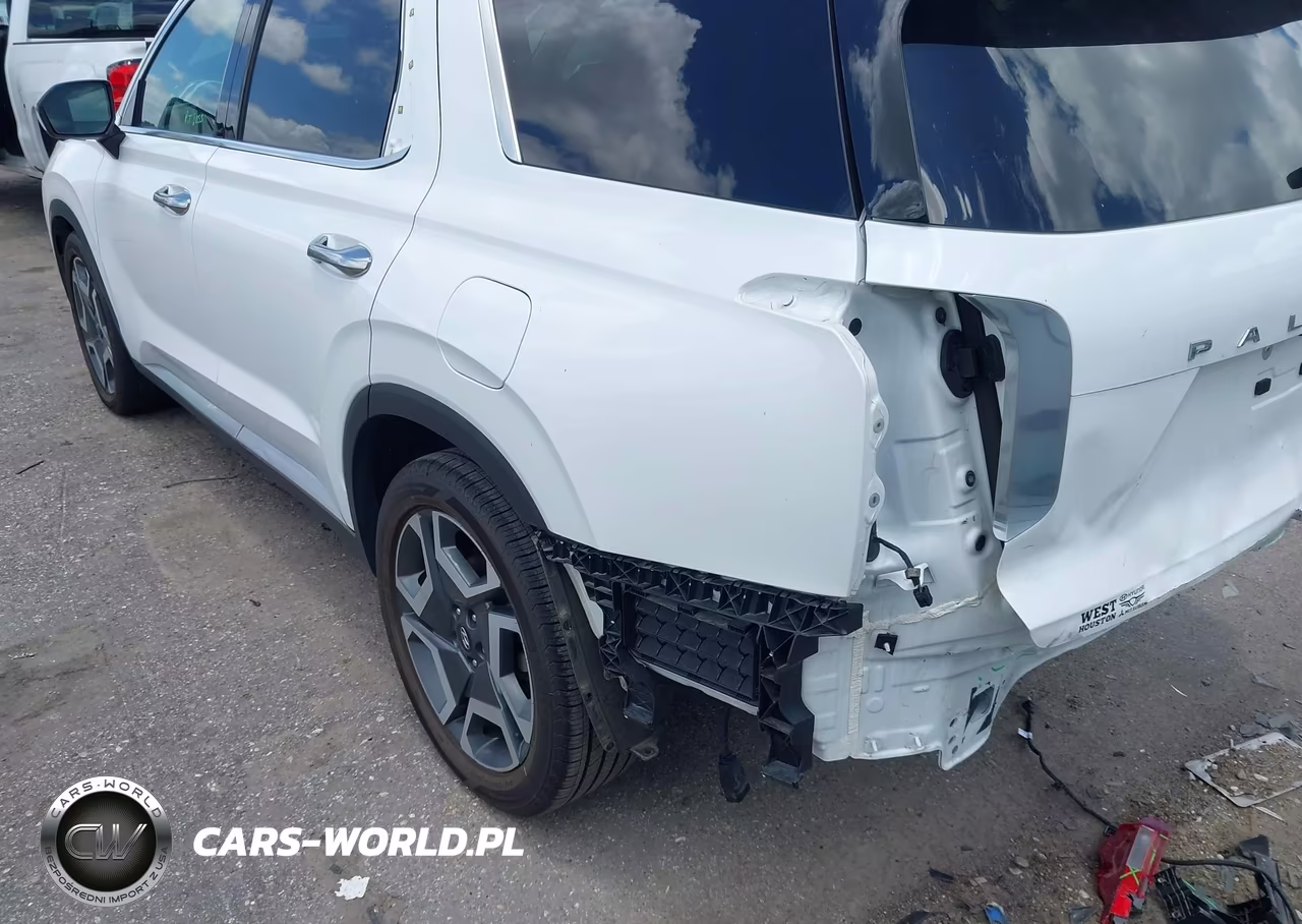 2023 Hyundai Palisade Limited VIN:KM8R54GE3PU511234 - 20
