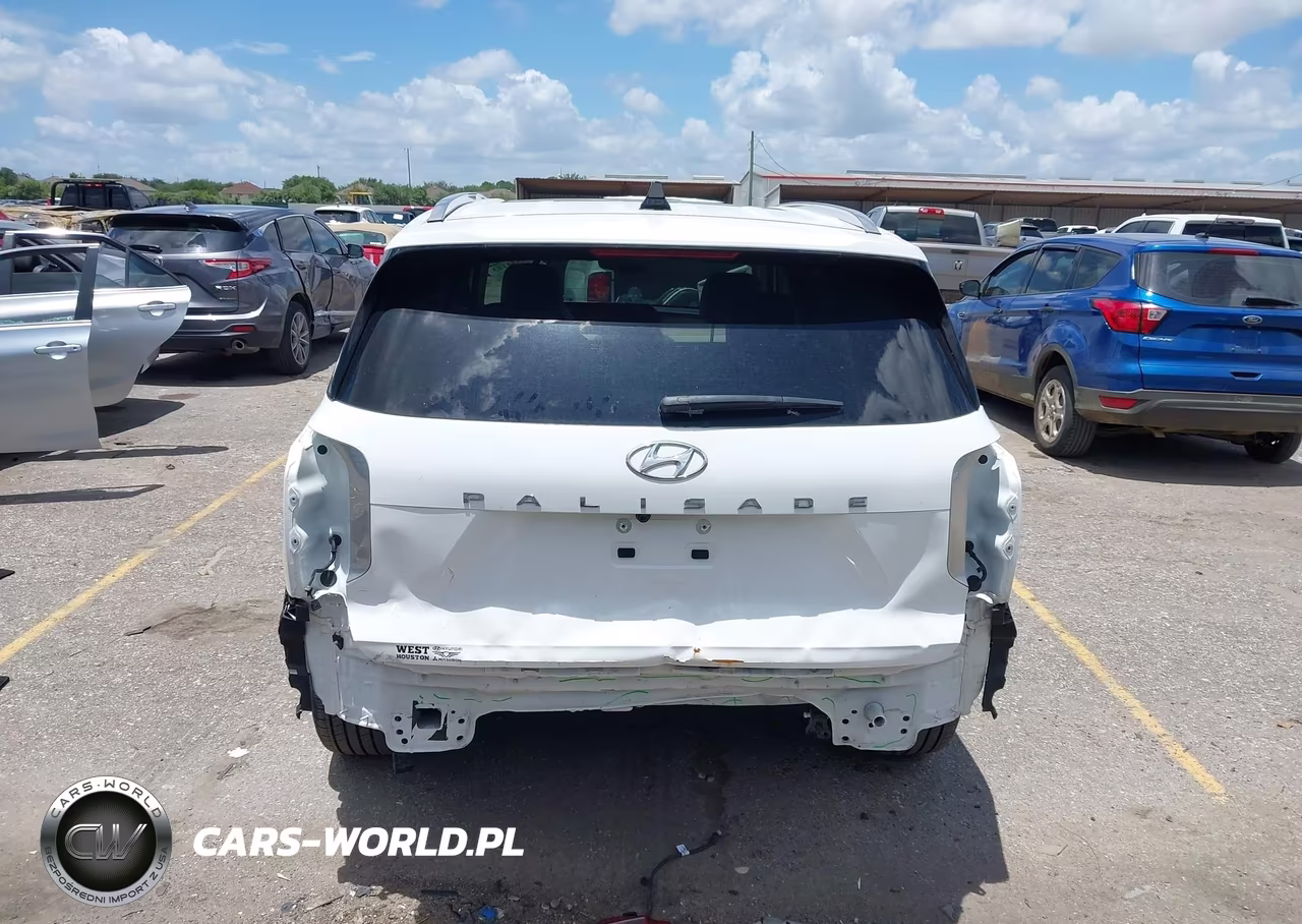 2023 Hyundai Palisade Limited VIN:KM8R54GE3PU511234 - 6