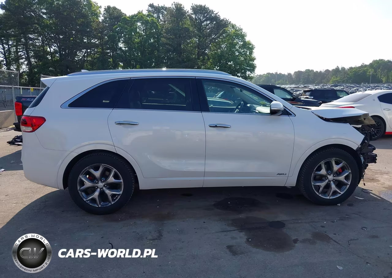 2018 Kia Sorento 3.3L Sx VIN:5XYPKDA52JG420008 - 14