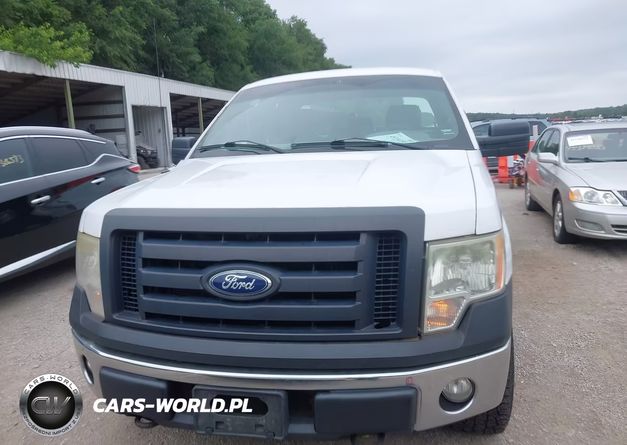 2012 Ford F-150 Xl VIN:1FTFX1EF7CFA46175 - 12