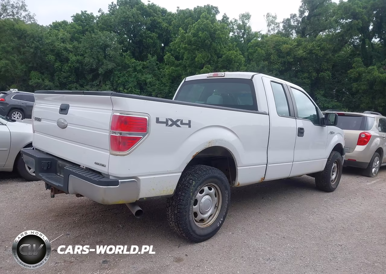 2012 Ford F-150 Xl VIN:1FTFX1EF7CFA46175 - 13
