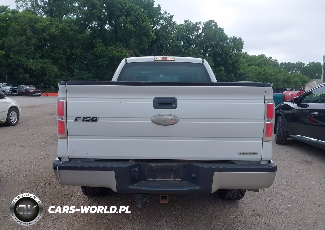 2012 Ford F-150 Xl VIN:1FTFX1EF7CFA46175 - 16