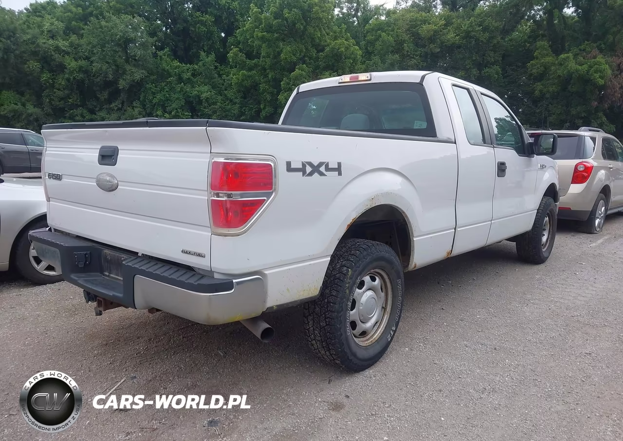 2012 Ford F-150 Xl VIN:1FTFX1EF7CFA46175 - 4