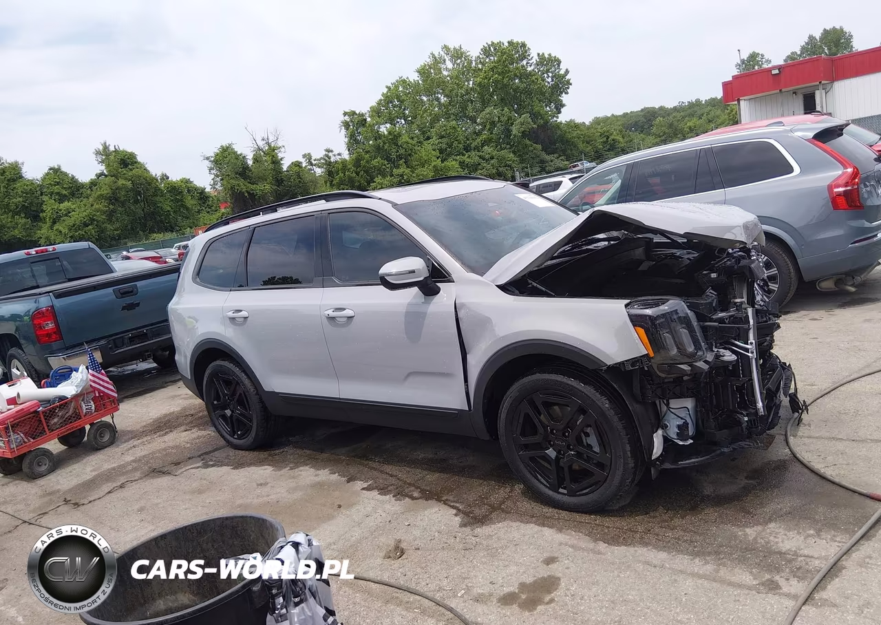 2025 Kia Telluride Ex X-Line VIN:5XYP3DGC1SG593183 - 14