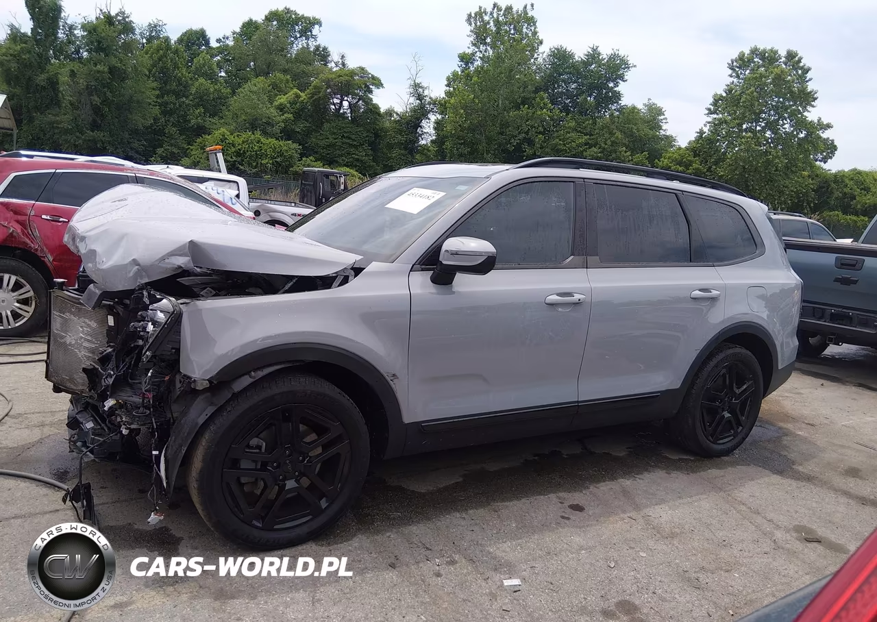 2025 Kia Telluride Ex X-Line VIN:5XYP3DGC1SG593183 - 15