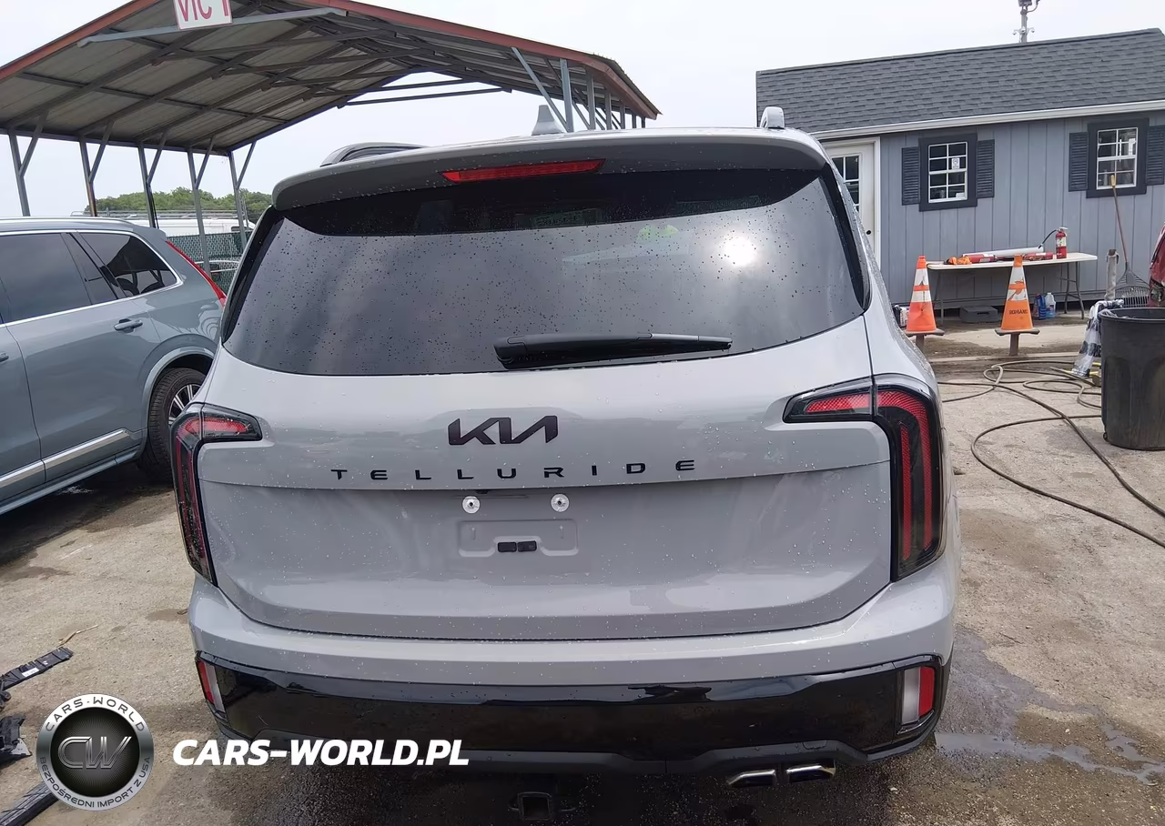 2025 Kia Telluride Ex X-Line VIN:5XYP3DGC1SG593183 - 17