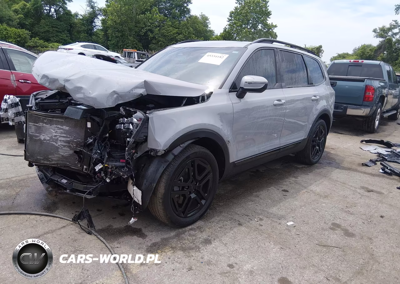 2025 Kia Telluride Ex X-Line VIN:5XYP3DGC1SG593183 - 2