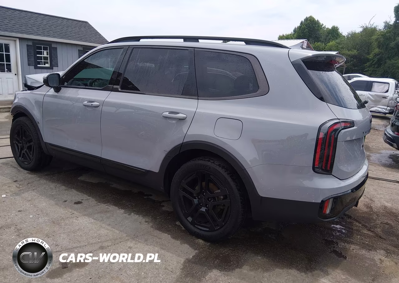 2025 Kia Telluride Ex X-Line VIN:5XYP3DGC1SG593183 - 3
