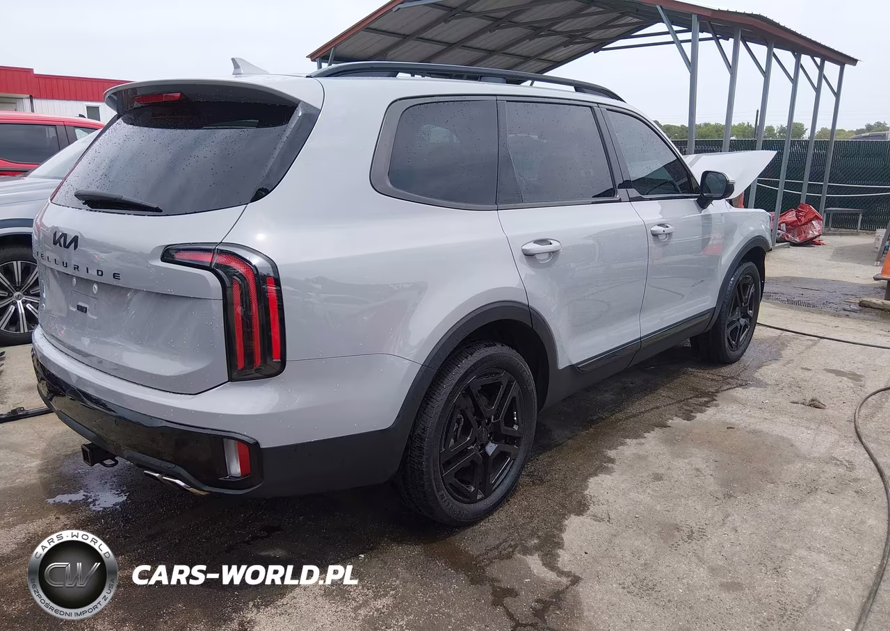 2025 Kia Telluride Ex X-Line VIN:5XYP3DGC1SG593183 - 4