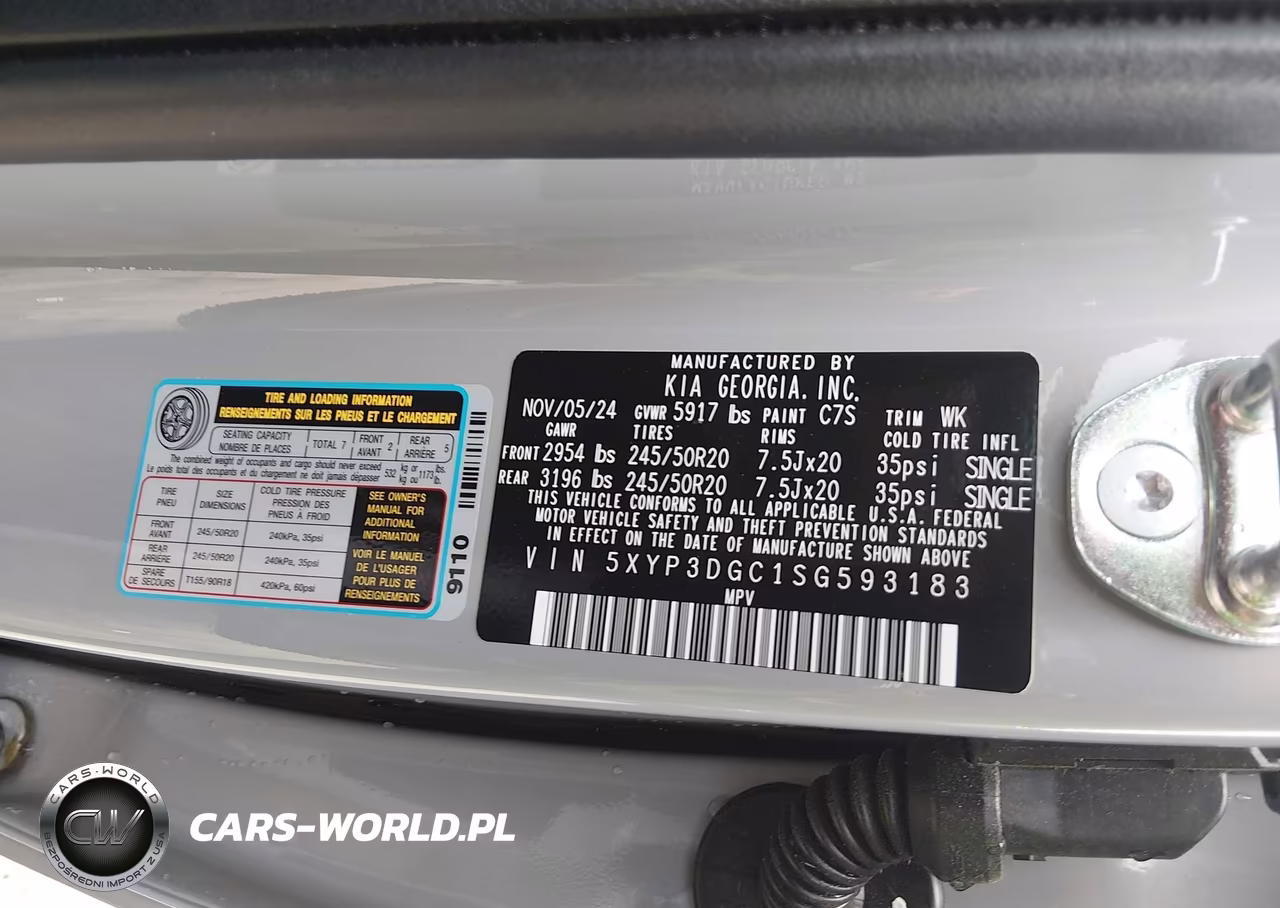 2025 Kia Telluride Ex X-Line VIN:5XYP3DGC1SG593183 - 9
