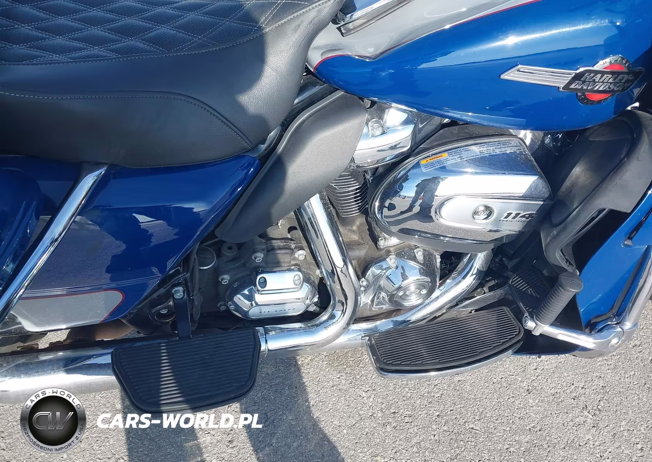 2023 Harley-Davidson Fltrk VIN:1HD1KZF12PB616220 - 8