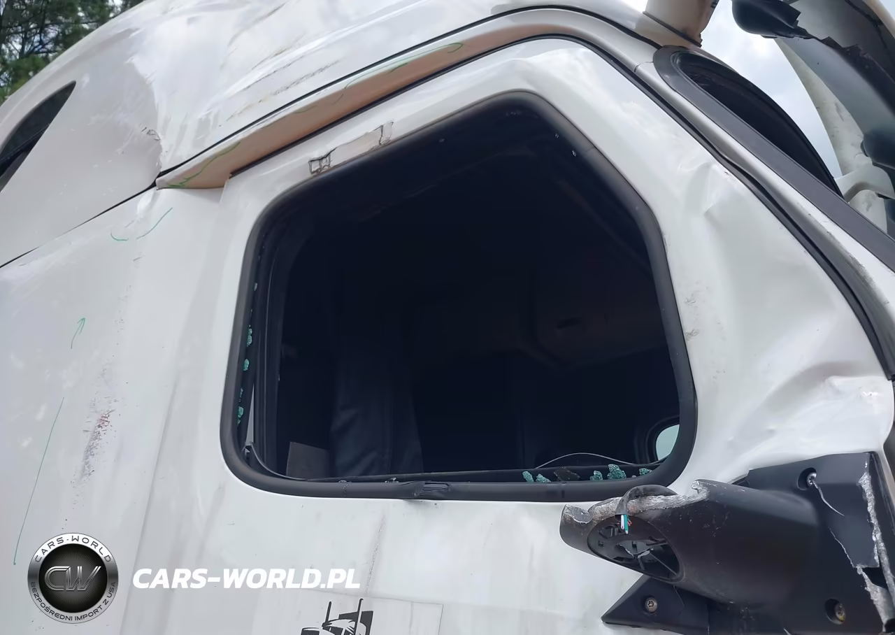 2018 Freightliner New Cascadia 126 VIN:3AKJHHDR4JSJW9424 - 19