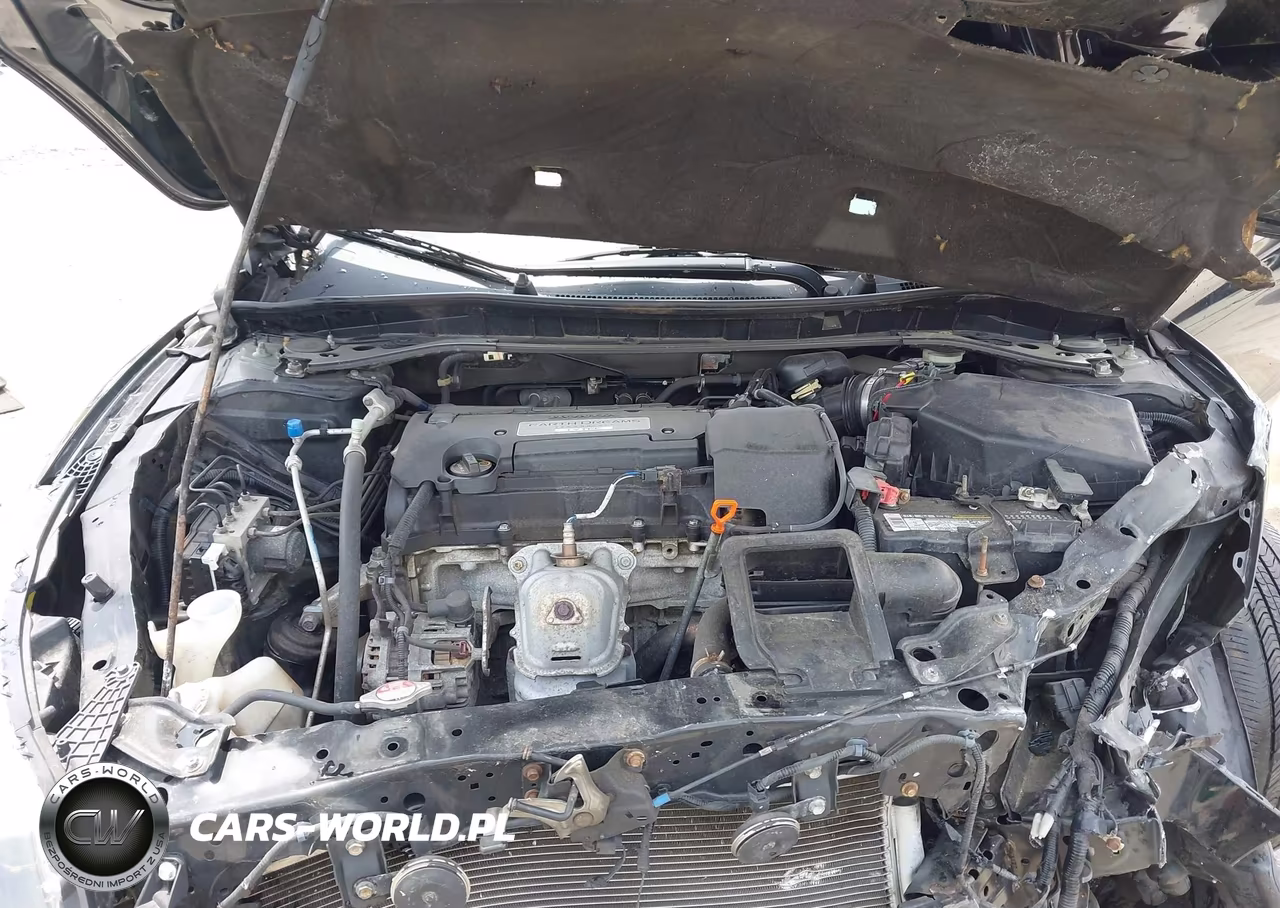 2014 Honda Accord Ex-L VIN:1HGCR2F81EA153159 - 10