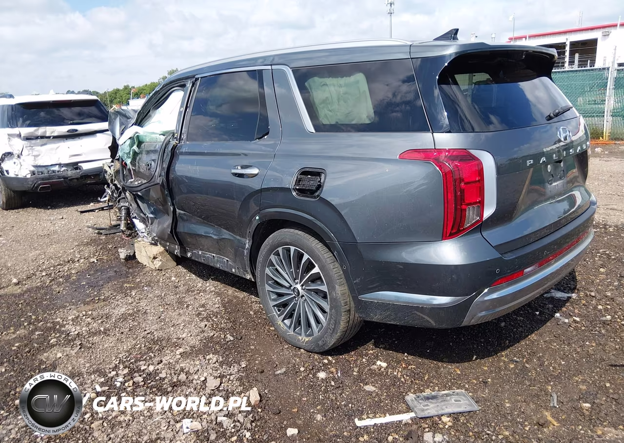 2023 Hyundai Palisade Calligraphy VIN:KM8R7DGE2PU636784 - 3