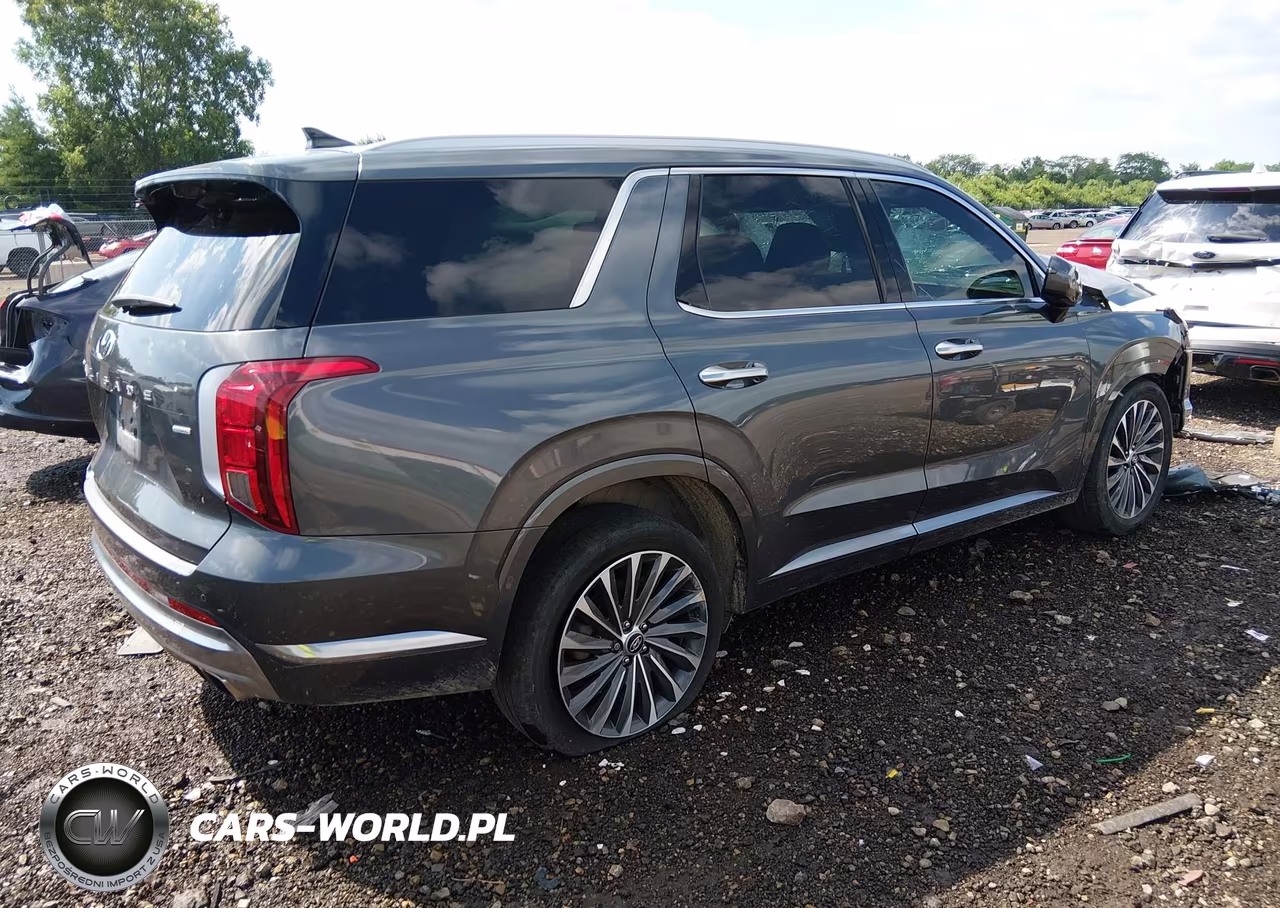 2023 Hyundai Palisade Calligraphy VIN:KM8R7DGE2PU636784 - 4