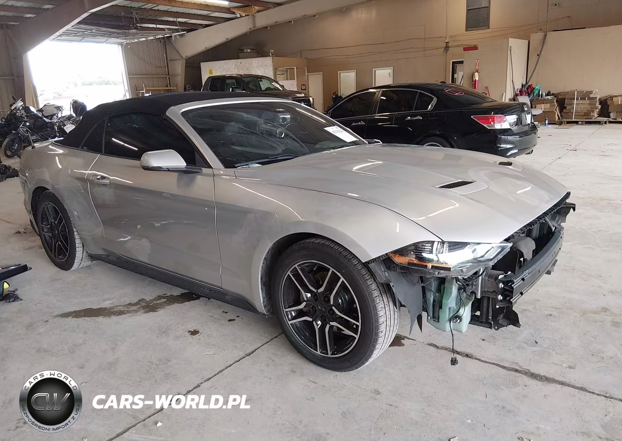 2019 Ford Mustang Ecoboost Premium – zdjęcie 1 z 17