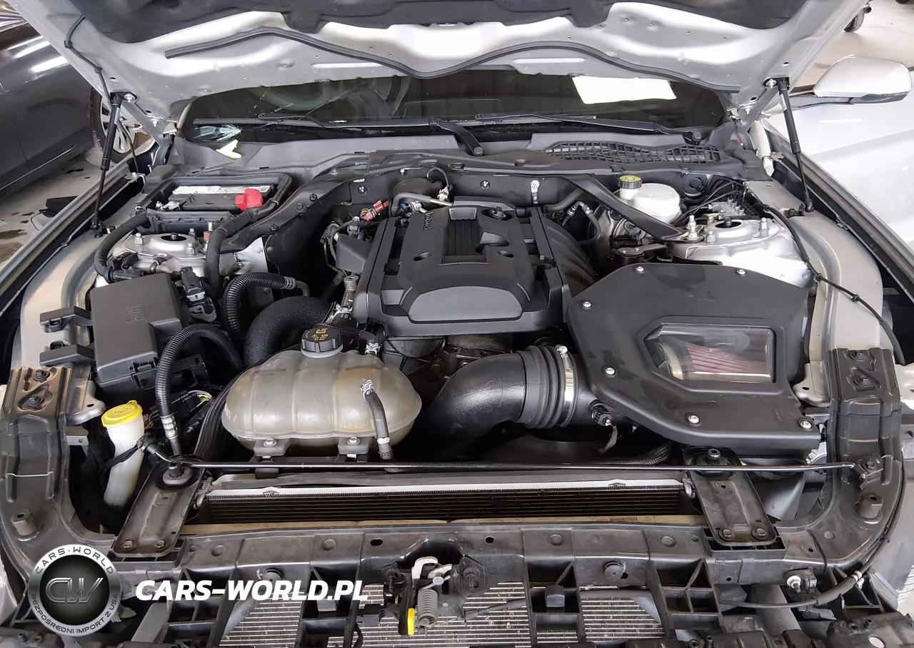 2019 Ford Mustang Ecoboost Premium VIN:1FATP8UH2K5150551 - 10