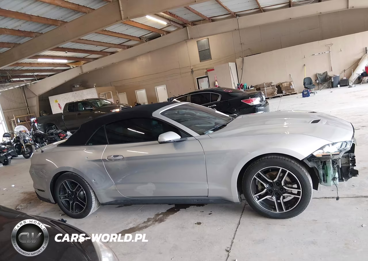 2019 Ford Mustang Ecoboost Premium VIN:1FATP8UH2K5150551 - 14