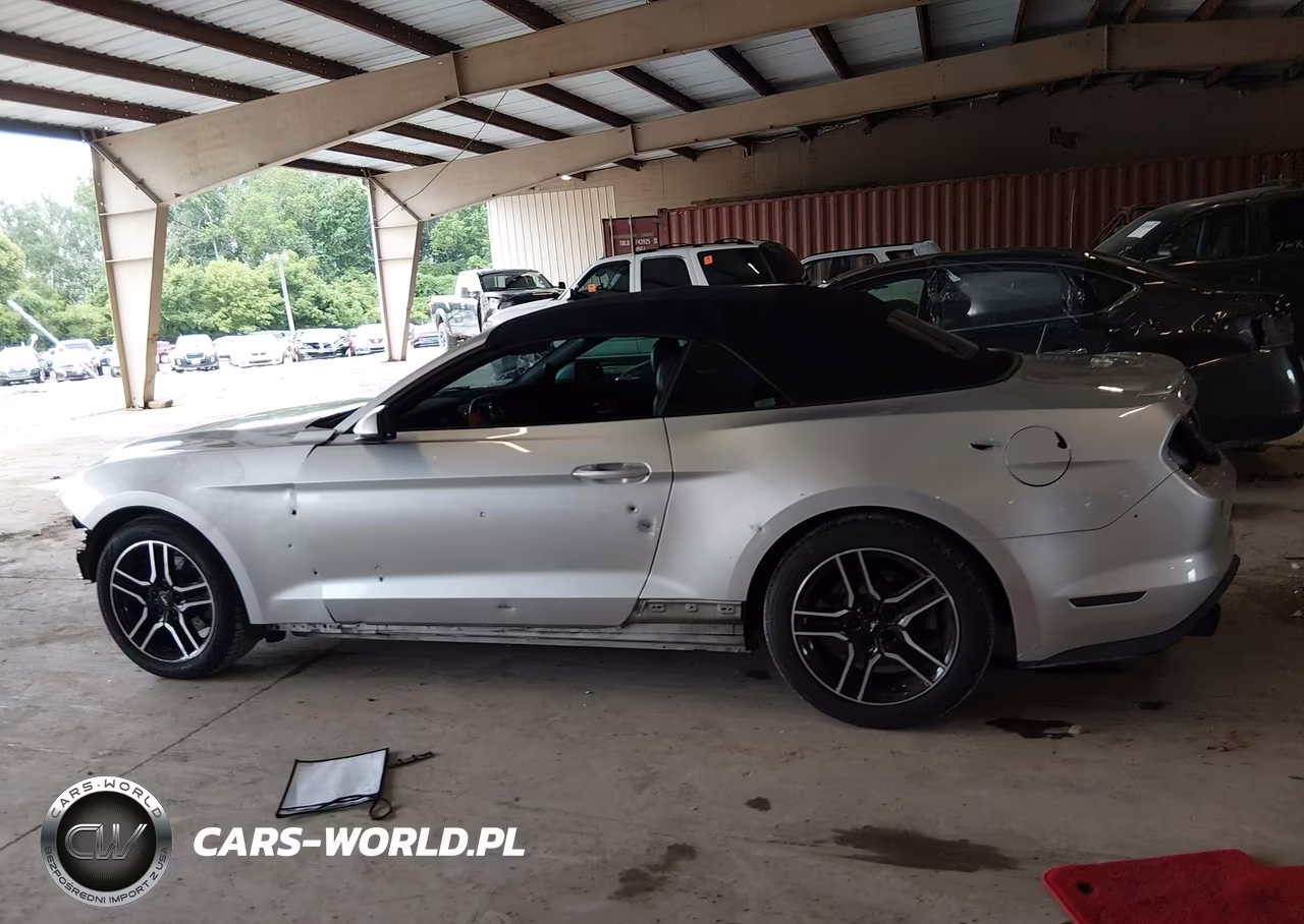 2019 Ford Mustang Ecoboost Premium VIN:1FATP8UH2K5150551 - 15