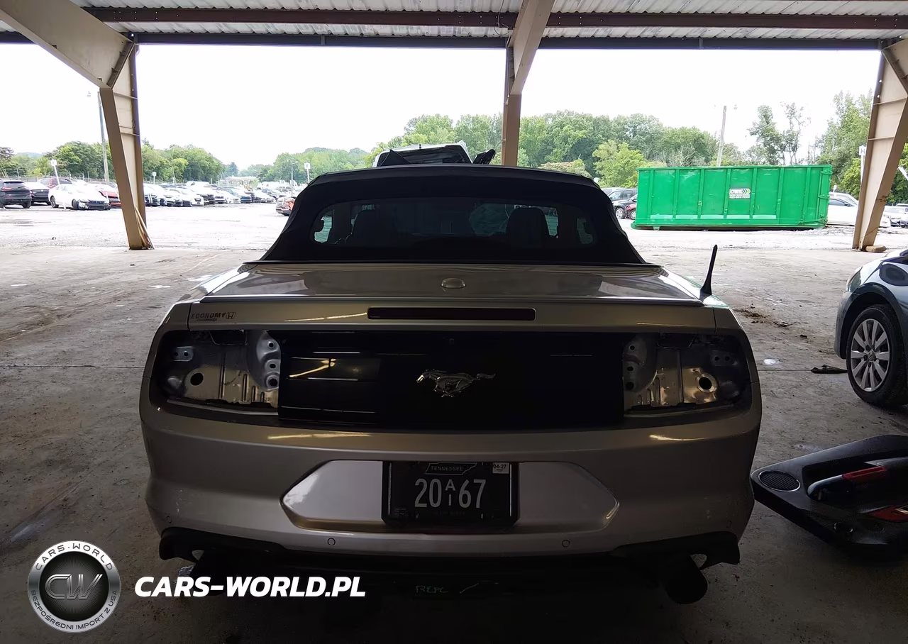 2019 Ford Mustang Ecoboost Premium VIN:1FATP8UH2K5150551 - 17
