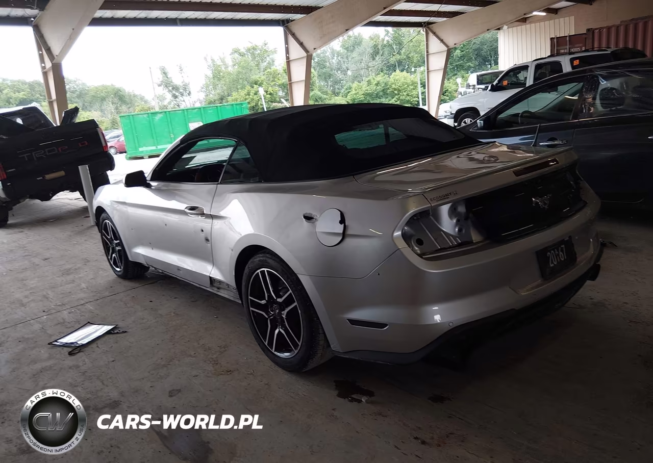 2019 Ford Mustang Ecoboost Premium VIN:1FATP8UH2K5150551 - 3