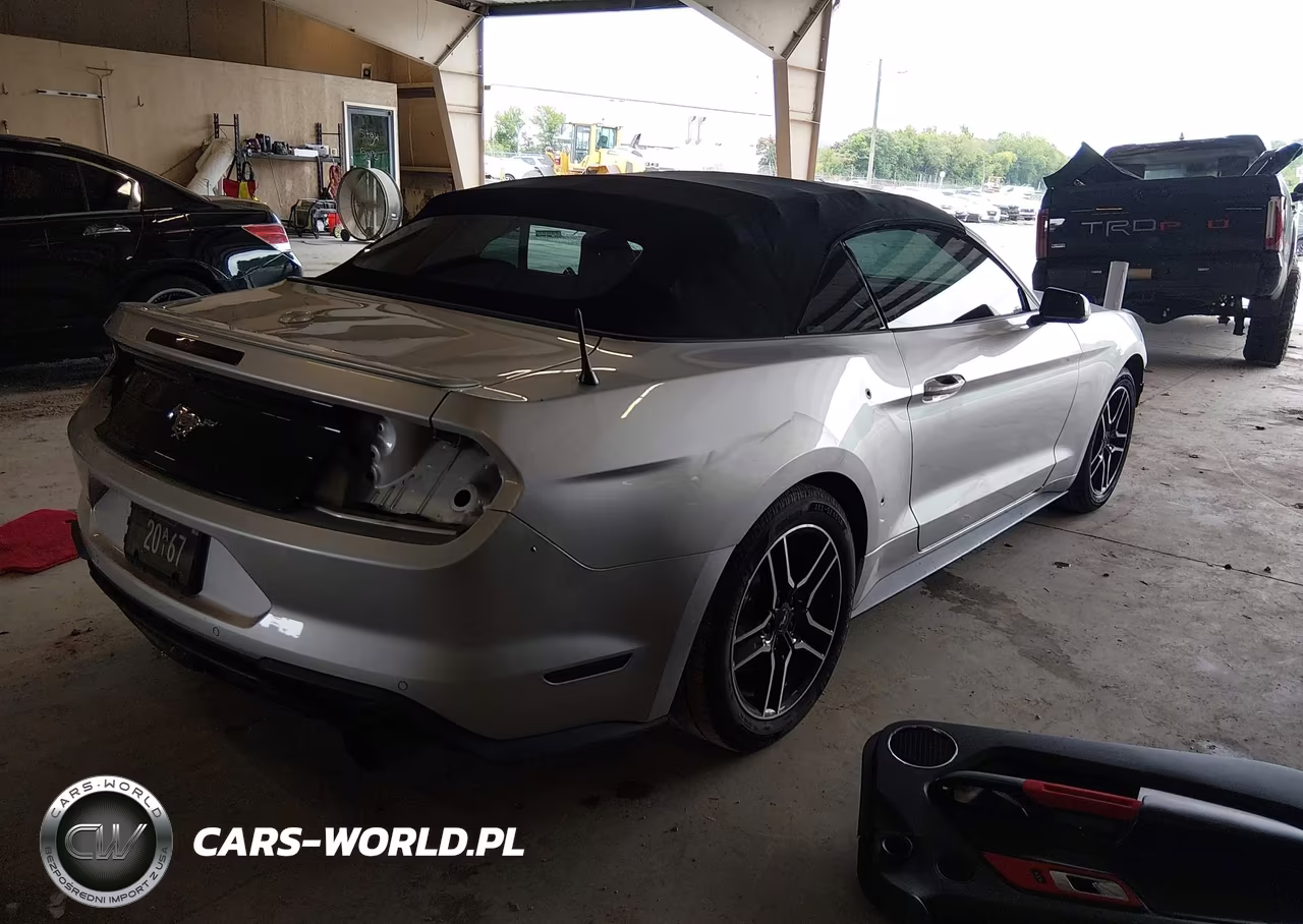 2019 Ford Mustang Ecoboost Premium VIN:1FATP8UH2K5150551 - 4