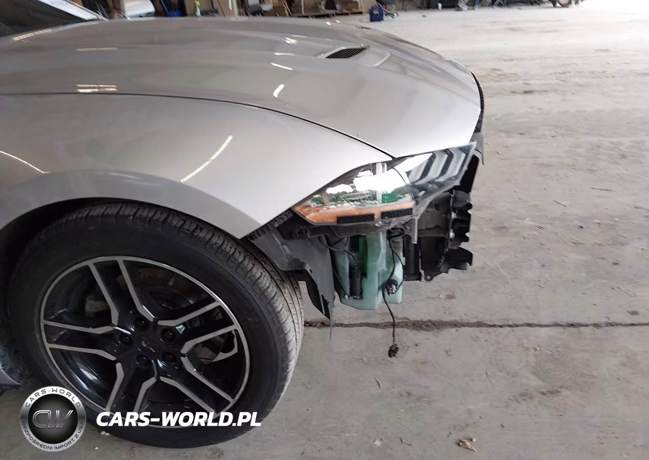 2019 Ford Mustang Ecoboost Premium VIN:1FATP8UH2K5150551 - 6