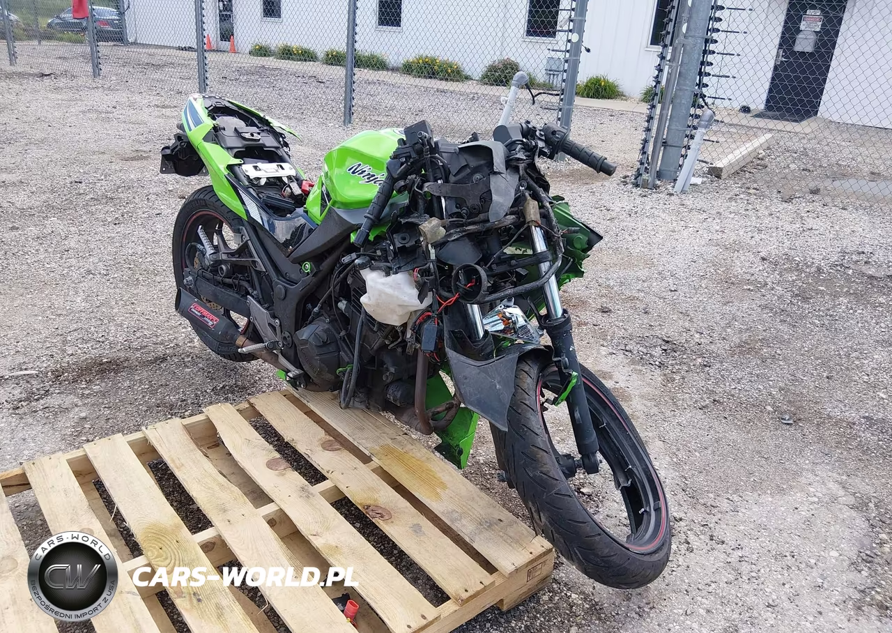 2014 Kawasaki Ex300 A – zdjęcie 1 z 15