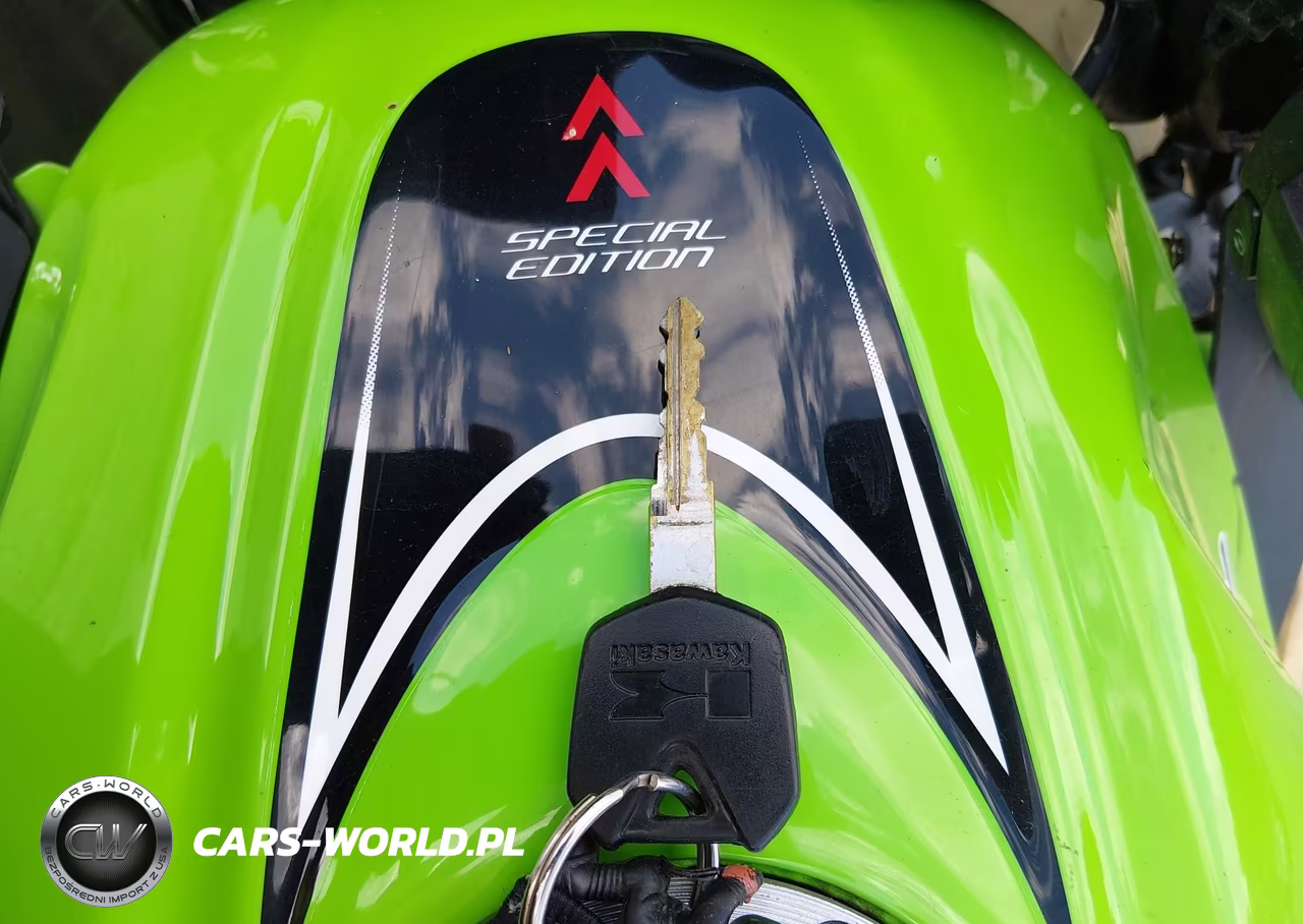 2014 Kawasaki Ex300 A VIN:JKAEX8A14EA008394 - 11