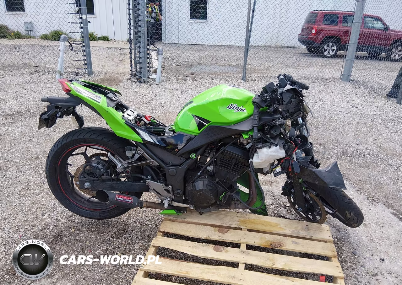 2014 Kawasaki Ex300 A VIN:JKAEX8A14EA008394 - 12