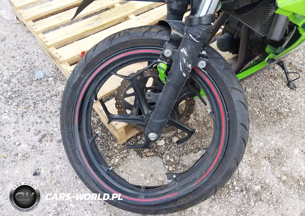 2014 Kawasaki Ex300 A VIN:JKAEX8A14EA008394 - 14