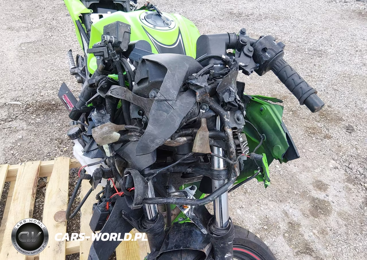 2014 Kawasaki Ex300 A VIN:JKAEX8A14EA008394 - 15